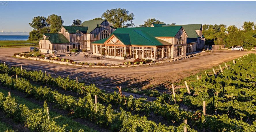 These Ontario Wineries Are Hosting Magical Vineyard Movie Nights This Summer